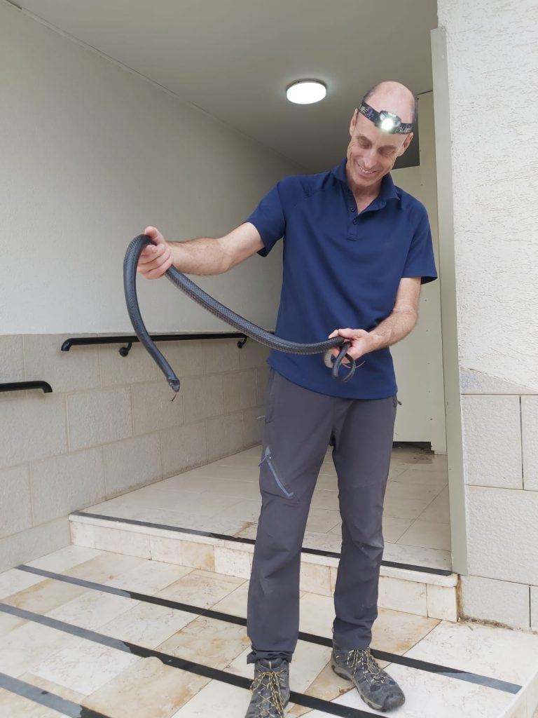 לוכד נחשים מקצועי אייל להב